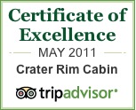 Trip Advisor